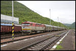 Am Nachmittag des 14.5.2019 gab es eine zweite Güterzugfahrt nach Lubenik.
