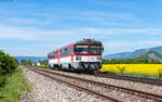 813 026 als R 913 (Zvolen osobna stanica - Kosice) bei Drienovec 6.5.26  