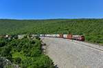 363 019 mit einem Containerzug am 26.05.2018 bei Hrastovlje.