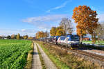 383 207 mit einem Autozug am 28.10.2020 bei Langenisarhofen.