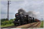 Fotozug Sv 31219 von Vrtky nach Kremnick Bane mit 556 036 als Zuglok und 555 3008 als Vorspann am 3.6.2012, aufgenommen bei der Einfahrt in Horn tubňa.