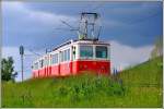 405 951-0 schiebt den Steuerwagen nach Štrbské Pleso hinauf. Überall wachsen wilde Lupinen entlang der Strecke. (05.06.2014)