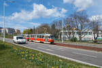 Von den ursprünglich knapp 200 Tatra T3 der Straßenbahn Bratislava waren im Frühjahr 2022 nur noch wenige Exemplare übrig. Am 07.04.2022 waren die T3 7845 und 7846 auf der Linie 4 von Dúbravka (Kaltenbrunn) nach Nové Mesto (Neustadt) und durchfuhren den Stadtteil Rovnice.