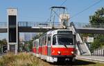 T3R.PV 7703 + 7706 verlassen auf der Fahrt nach Ruzinov die Haltestelle Botanicka Zahrada. (08.09.2023)