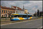 Kosice in der Slovakei am 27.6.2023. Tram Wagen 832 der Linie 3 ist hier in die Juzna Trieda eingebogen und hält dort in Höhe des Hotel Centrum.
