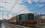 SŽ 342-186 zieht Güterzug durch Maribor-Tabor Richtung Norden.