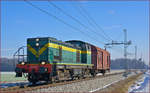 SŽ 643-010 zieht Güterwagon durch Cirkovce-Polje Richtung Pragersko.