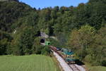 644 020 mit dem AVT 854 (Most na soci-Bohinjska Bistrica) bei Kneza 9.9.20