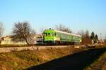 Der letzte  Grüne Zug : Der Doppel Tiebzug 711 015/016 ist auf dem Weg nach Ormož kurz nach der Abfahrt aus dem Grenzbahnhof (HR-SI) Središče ob Dravi.