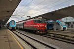 SZ 342 022 steht mit EC134 nach Trieste Centrale bereit, während nebenan 510 001 und 313 011 warten.