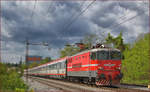 SŽ 342-027 zieht EC158 durch Maribor-Tabor Richtung Wien.