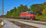 SZ 342-027 mit lehren Containerwagons kurz vor Pragersko Richtung Koper Hafen an wunderschnen Herbstnachmittag / 29.09.2011  