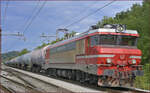SŽ 363-001 zieht Kesselzug durch Maribor-Tabor Richtung Süden. /26.8.2021