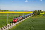Am 4. Mai 2022 ist 363 026 mit einem Kesselwagenzug zwischen Lipovci und Murska Sobota in Richtung Hodoš unterwegs. 