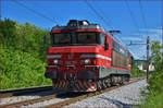 SŽ 363-031 fährt als Lokzug durch Maribor-Tabor Richtung Maribor HBF.