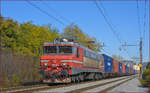 SŽ 363-008 zieht Containerzug durch Maribor-Tabor Richtung Koper Hafen.