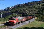 363 037 mit dem 48403 (Voest Alpine Linz-Koper tovorna) bei Zanigrad 8.9.20