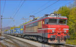 SŽ 343-038 zieht Containerzug durch Maribor-Tabor Richtung Koper Hafen.