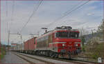 SŽ 363-007 zieht Containerzug durch Maribor-Tabor Richtung Norden.