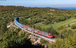 363 025 und 363 017 als Schublok mit dem 45412 (Koper tovorna - Jesenice) bei Črnotiče 3.10.26