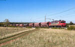 363 033 und 6193 096 als Schublok mit dem 48414 (Koper tovorna - Linz Chemie) bei Črnotiče 4.10.26
