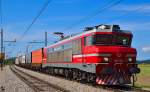 S 363-009 zieht Containerzug durch Pragersko Richtung Norden. /17.8.2012