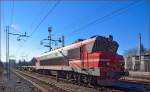 SŽ 363-019 zieht lehren Containerzug durch Maribor-Tabor Richtung Norden.