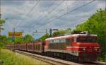 SŽ 363-019 zieht Güterzug durch Maribor-Tabor Richtung Norden.