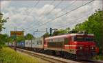 SŽ 363-038 zieht Containerzug durch Maribor-Tabor Richtung Norden.