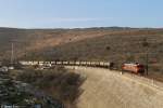 363 026 mit Güterzug am 14.03.2015 bei Hrastovlje.