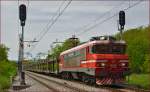 SŽ 363-029 zieht lehren Autozug durch Maribor-Tabor Richtung Norden. /5.5.2015