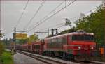 SŽ 363-029 zieht leeren Autozug durch Maribor-Tabor Richtung Norden.