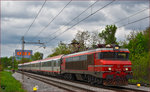 SŽ 363-024 zieht EC158 durch Maribor-Tabor Richtung Wien. /19.4.2016