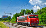 SŽ 363-031 fährt als Lokzug durch Maribor-Tabor Richtung Maribor HBF.