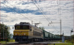 SŽ 363-005 zieht Güterzug durch Pragersko Richtung Hodoš.