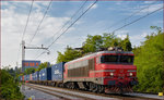 SŽ 363-024 zieht Containerzug durch Maribor-Tabor Richtung Norden.