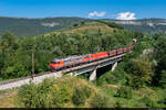 SŽ 363 004 und SŽ 541 106 ziehen am 14.08.2021 einen leeren Güterzug in Richtung Koper und konnten hier bei Črni Kal, Slowenien aufgenommen werden.