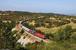 541 XXX mit Güterzug am 24.08.2013 bei Crnotice