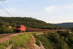 541 003 und  541 009 (Zugschluss) mit dem 48442 (Koper Tovorna-Voest Alpine Linz) bei Zanigrad 6.9.18