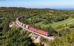 541 110; 541 006 und 363 016 als Schublok mit dem 48400 (Koper tovorna - Jesenice) bei Črnotiče 3.10.26