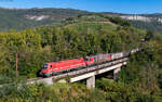 541 110 und 363 012 mit einem G�terzug nach Koper bei Kortine 4.10.26  