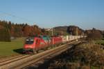 541 013  Almdudler  und 541 020 hatten am 5. November die Ehre, den EKOL nach München zu bespannen, hier zu sehen bei Grabenstätt.