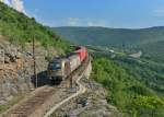 541 101 mit einem Containerzug am 09.06.2015 bei Zanigrad.