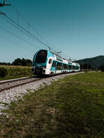 S� 313 012 am 24.08.2026 bei Gode�ič, nahe �kofja Loka.