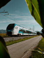 S� 510 033 am 24.08.2026 bei �abnica, nahe Kranj.
 
——————
 
Zug: LP 2420
Laufweg: Ljubljana ➤ Kranj ➤ Lesce-Bled ➤ Jesenice