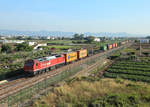 333 382 passes Port Saplaya whilst hauling a southbound container train