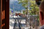 Dem Straßenbahnführer über die Schulter fotografiert - Auf der knapp 5 km langen Strecke zwischen dem Bahnhofsvorplatz von Sóller und dem 40 m talwärts gelegenen Hafen, Port de Sóller gibt es eine längere Ausweichstelle, die zugleich eine von insgesamt 16 Haltestellen ist. Die vom Hafen kommende Straßenbahn hat keine Freigabe zur Einfahrt in die Ausweichstelle, da die vor ihr stehende Straßenbahn noch auf die vollständige Einfahrt der Gegenbahn wartet (19.09.2016).