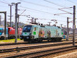 Wien. Die ÖBB 1116 231 mit Werbung für Bio Austria steht hier am 12.08.2023 in Wien Matzleinsdorferplatz.