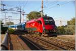 Fotos in Wien Lobau sind schwierig geworden, seit die Haltestelle aufgegeben und der Zuggang zu den Bahnsteigen vollkommen abgeriegelt wurde.