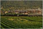 Wachau II - Sicherlich ein Hhepunkt der IGE Eisenbahn-Romantik-Rundfahrt war die Fahrt am Mittwoch durch die Wachau.